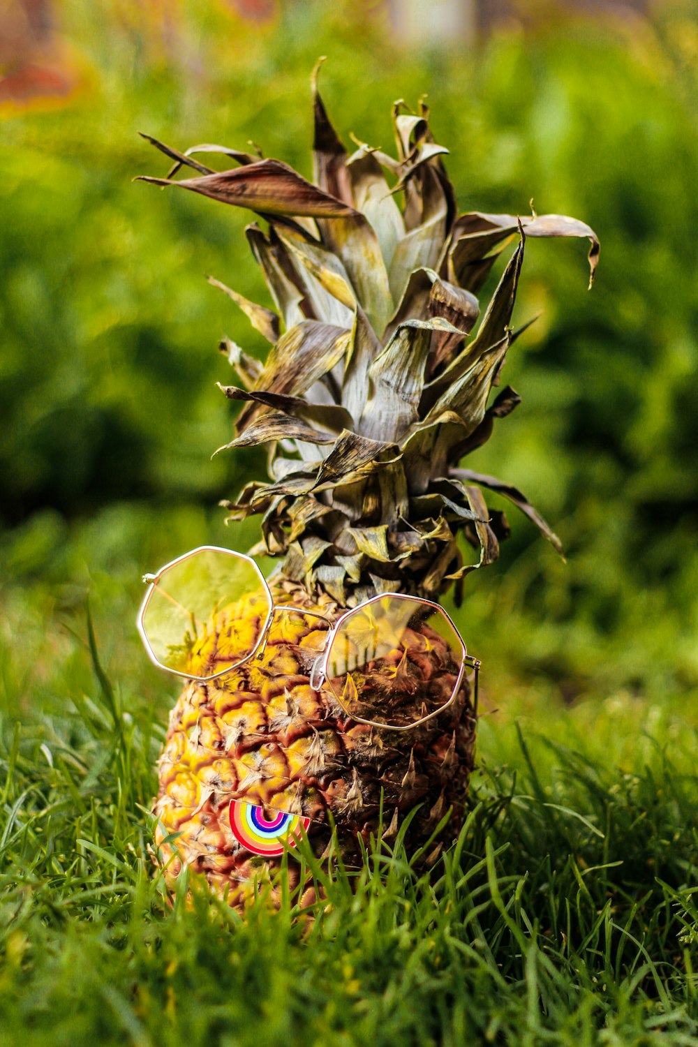pineapple wearing eyeglasses on grass