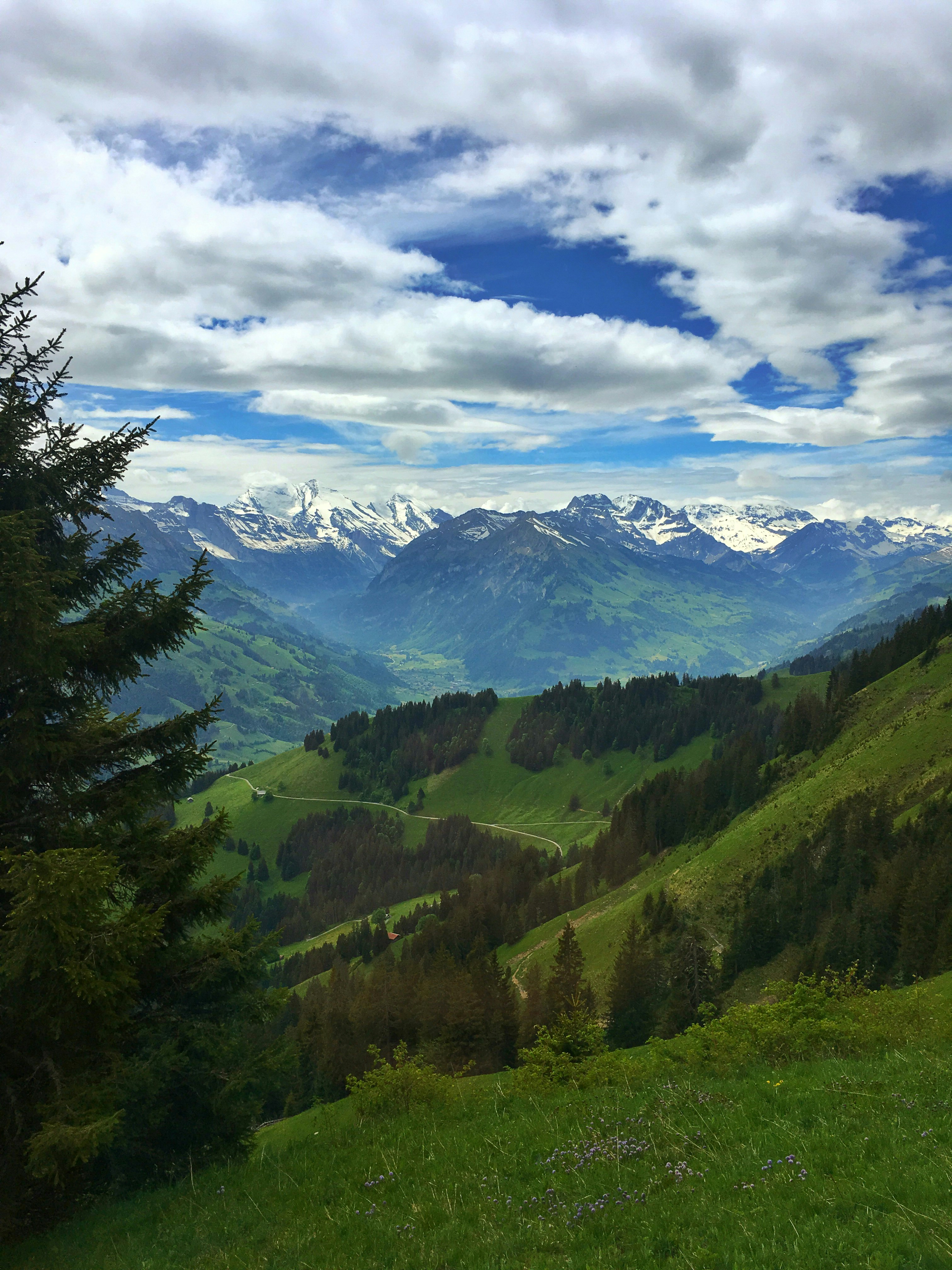 Photo by thicialuiza