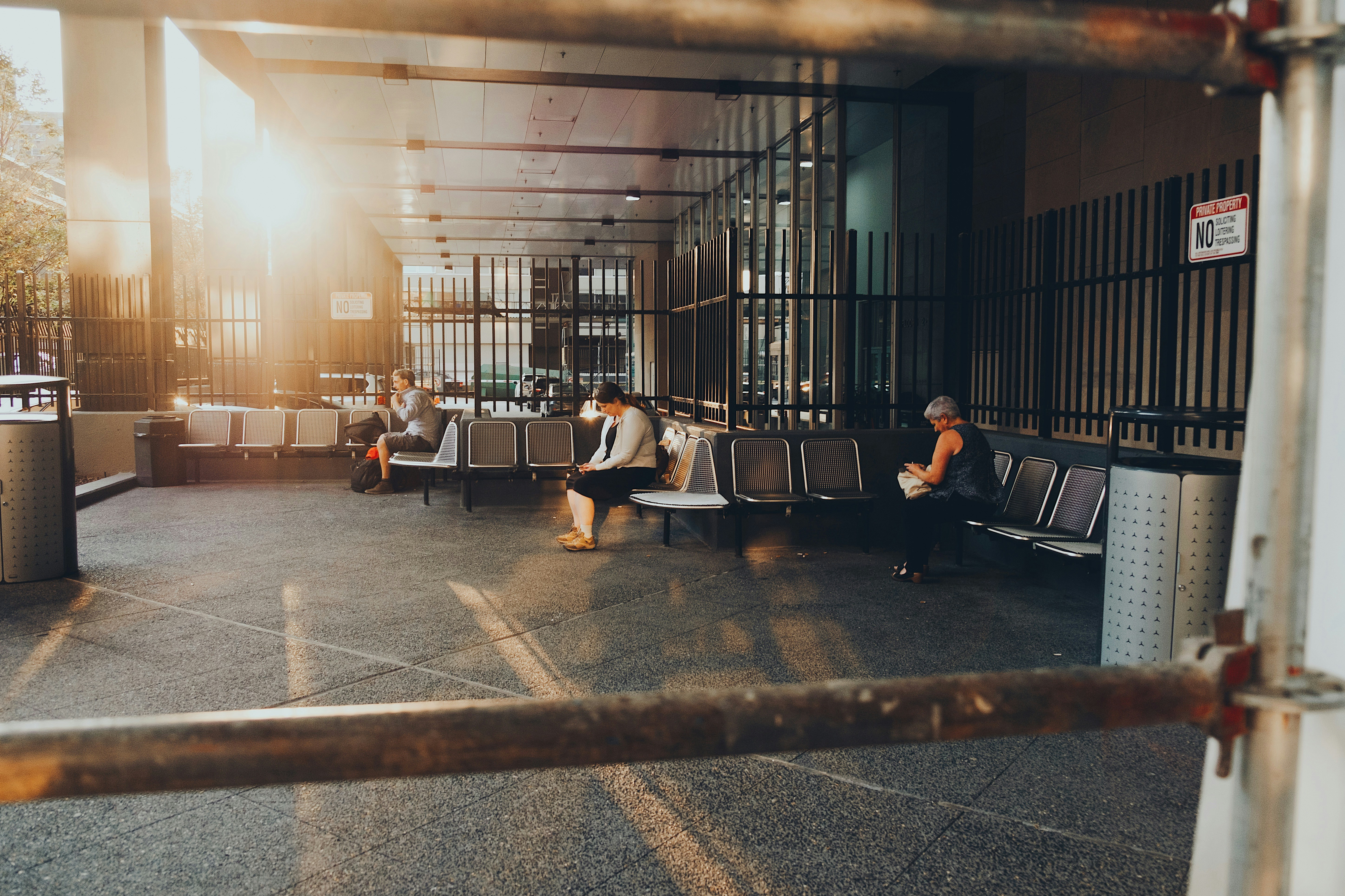 Spermidine: The Autophagy-Boosting Compound in Your Kitchen