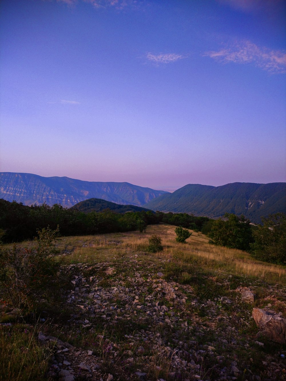 a grassy field with mountains in the background