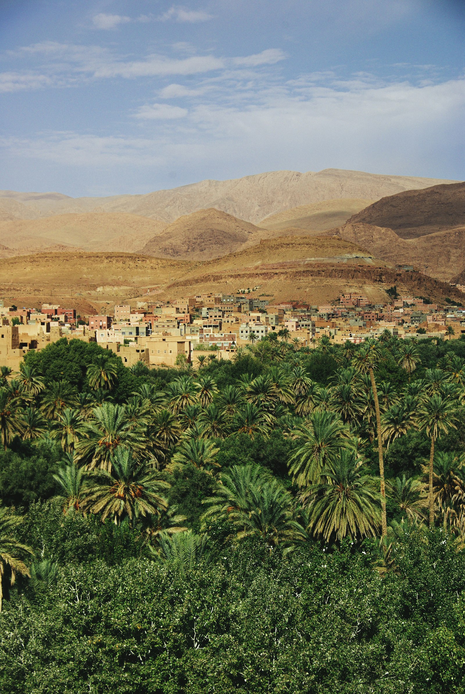 Panorama dell'Oasi di Siwa con palmeti e laghi salati nel Deserto Occidentale egiziano