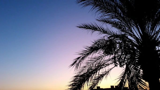 A sleek, modern contact form overlaying a soft gold and blue background with subtle palm tree silhouettes and the Los Angeles skyline at dusk.