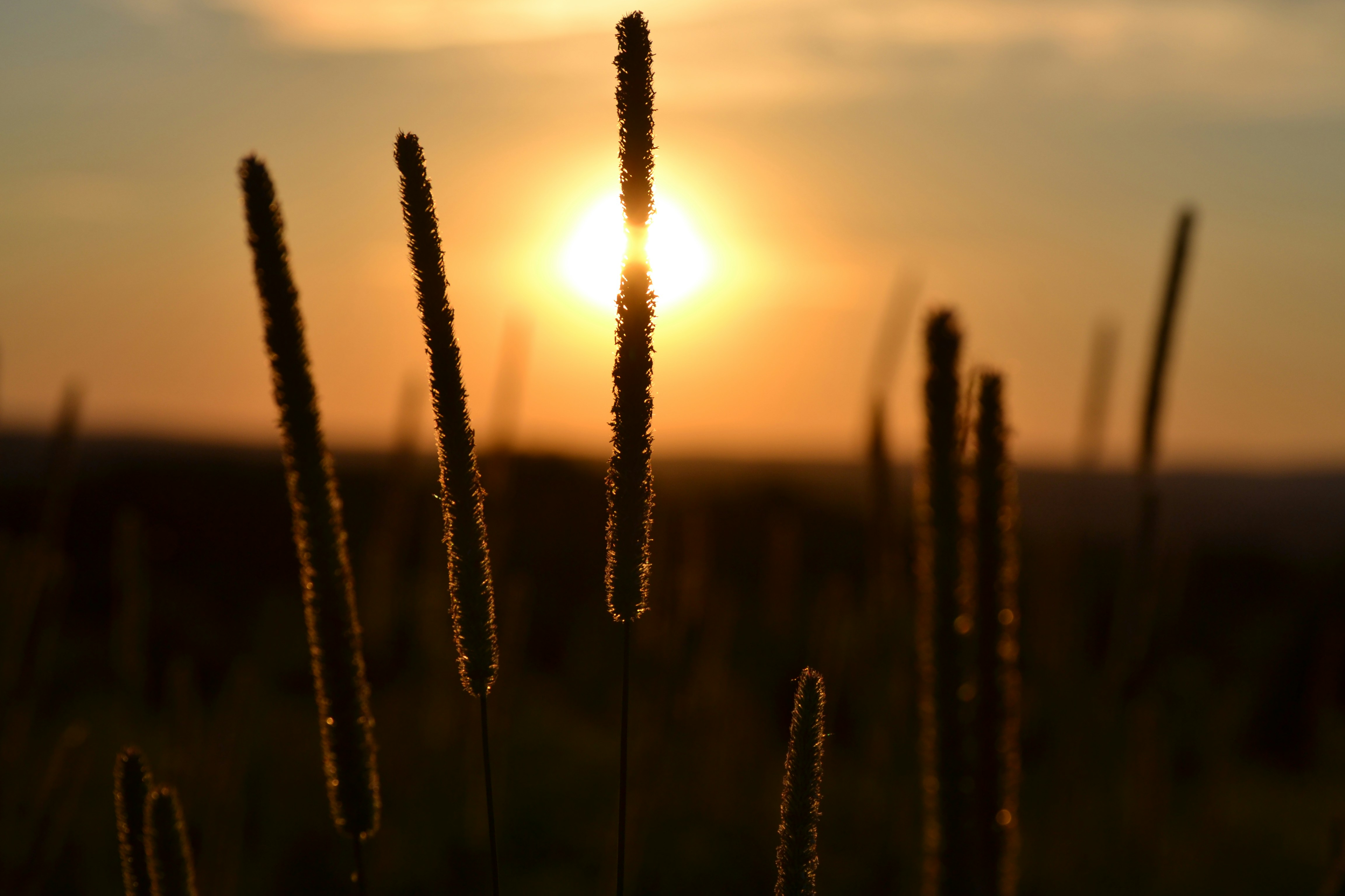 Photo by meadowmariee