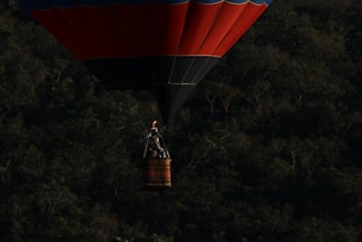 A hot air balloon with a dark blue and red canopy hovers above a lush forest. The wicker basket beneath the balloon holds a passenger and a burner system. The scene is captured during low light, emphasizing the contrast between the balloon and the forest below.