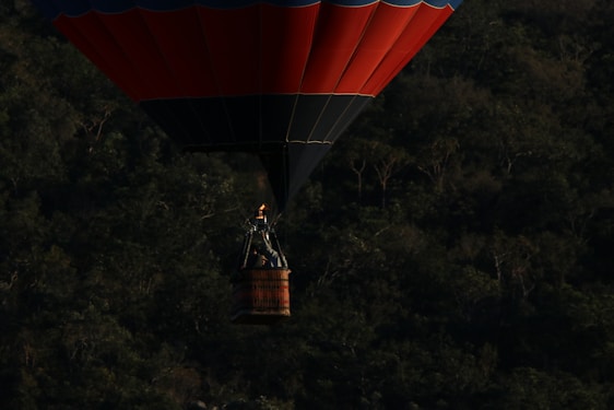 A hot air balloon with a dark blue and red canopy hovers above a lush forest. The wicker basket beneath the balloon holds a passenger and a burner system. The scene is captured during low light, emphasizing the contrast between the balloon and the forest below.