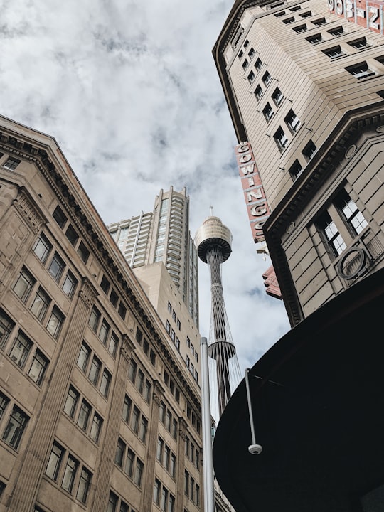 low angle photography of high-rise buildings during daytime in Sydney Tower Australia