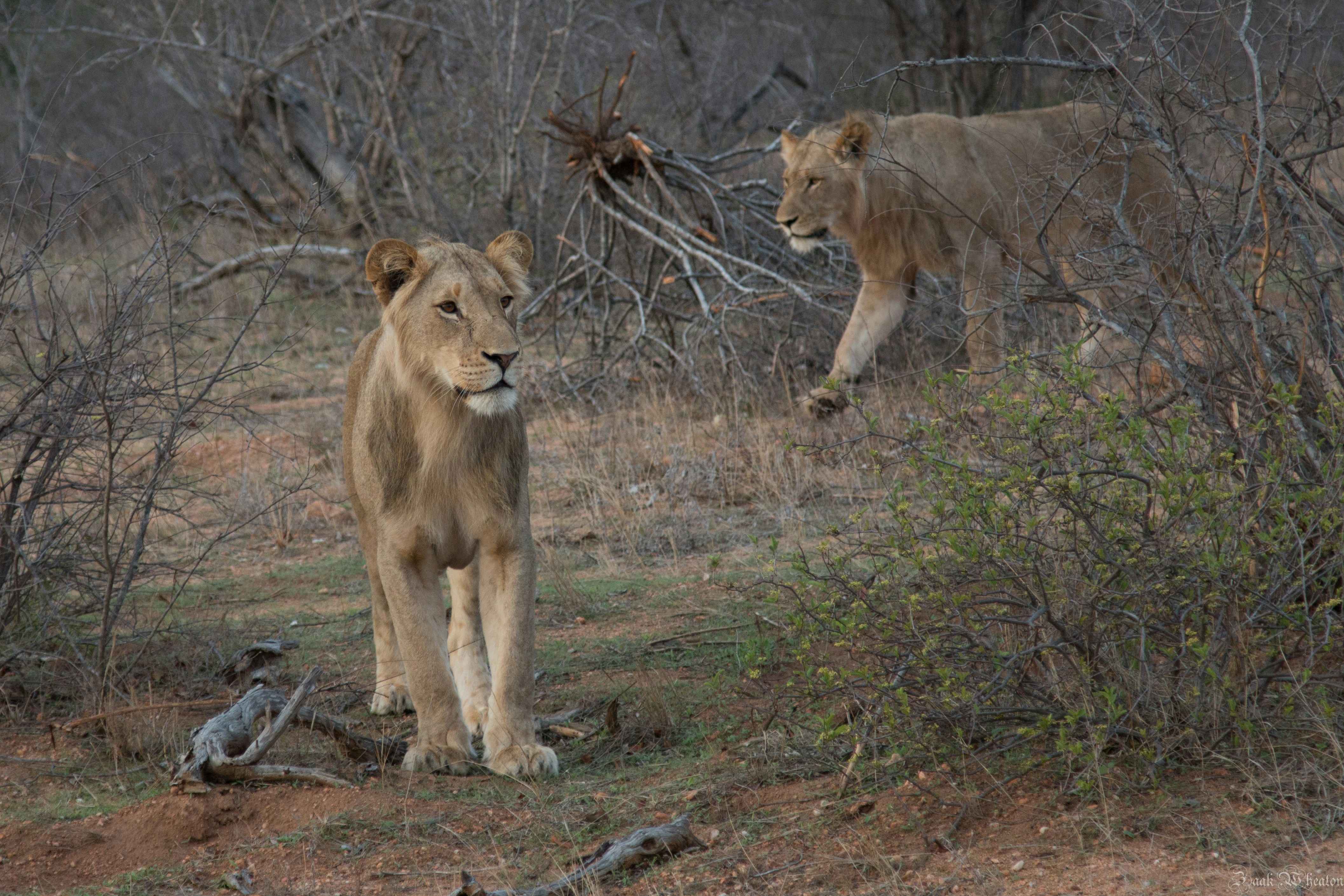 Photo by jake_photo06