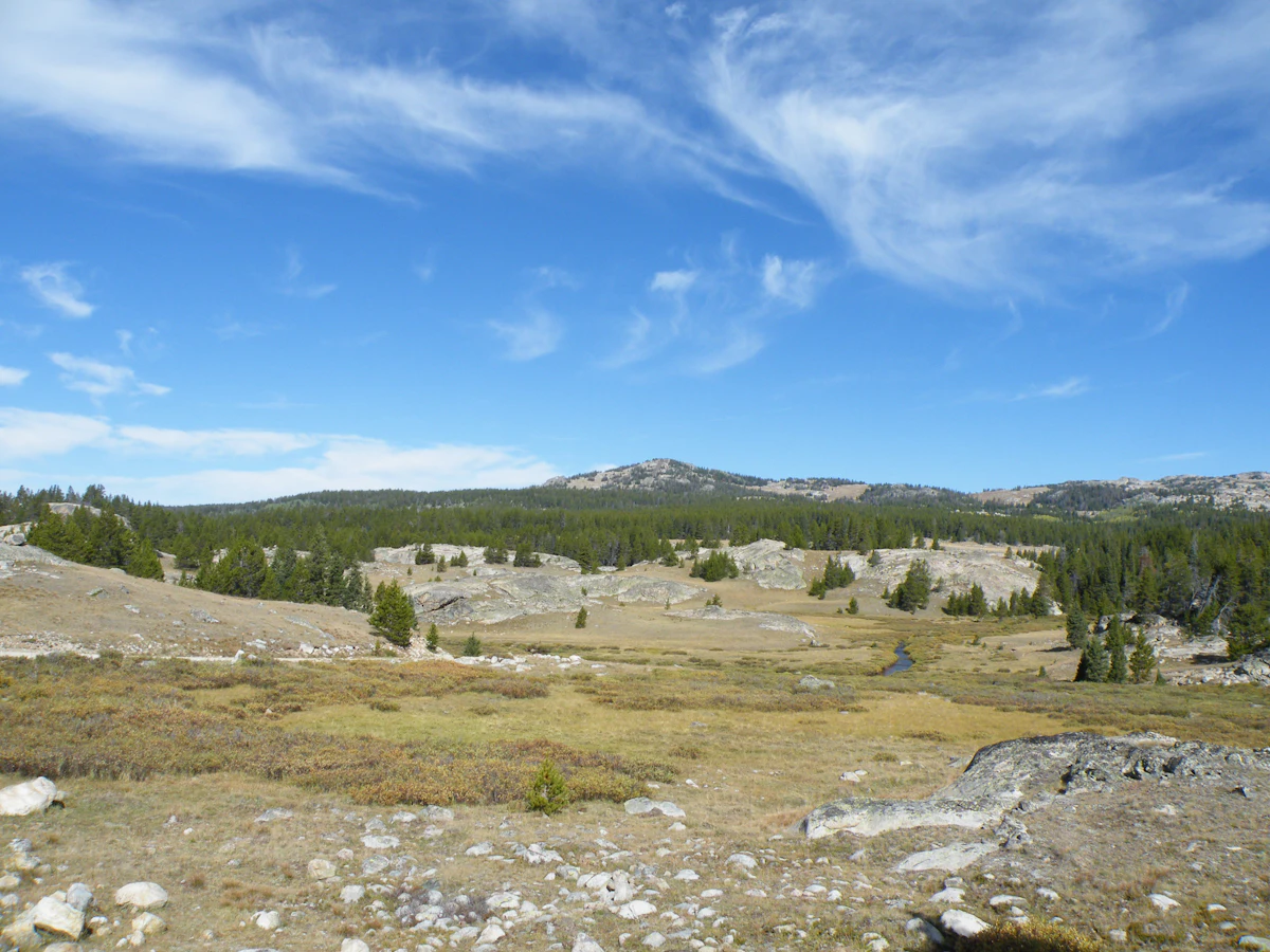 Granite outcrops and scattered pines on a high grassy plateau in the Bighorn National Forest, under a blue sky
