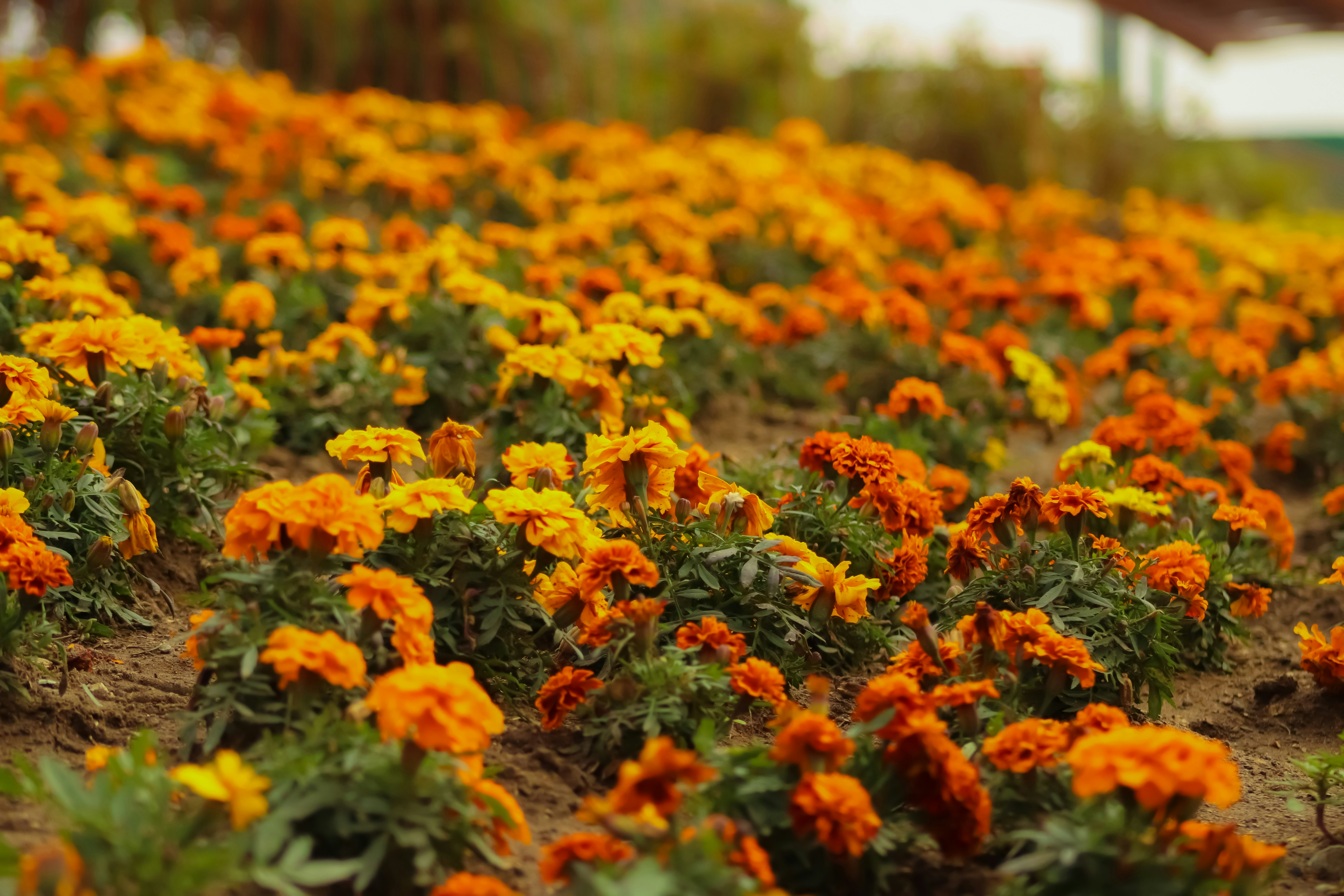 Photo by guille_velard