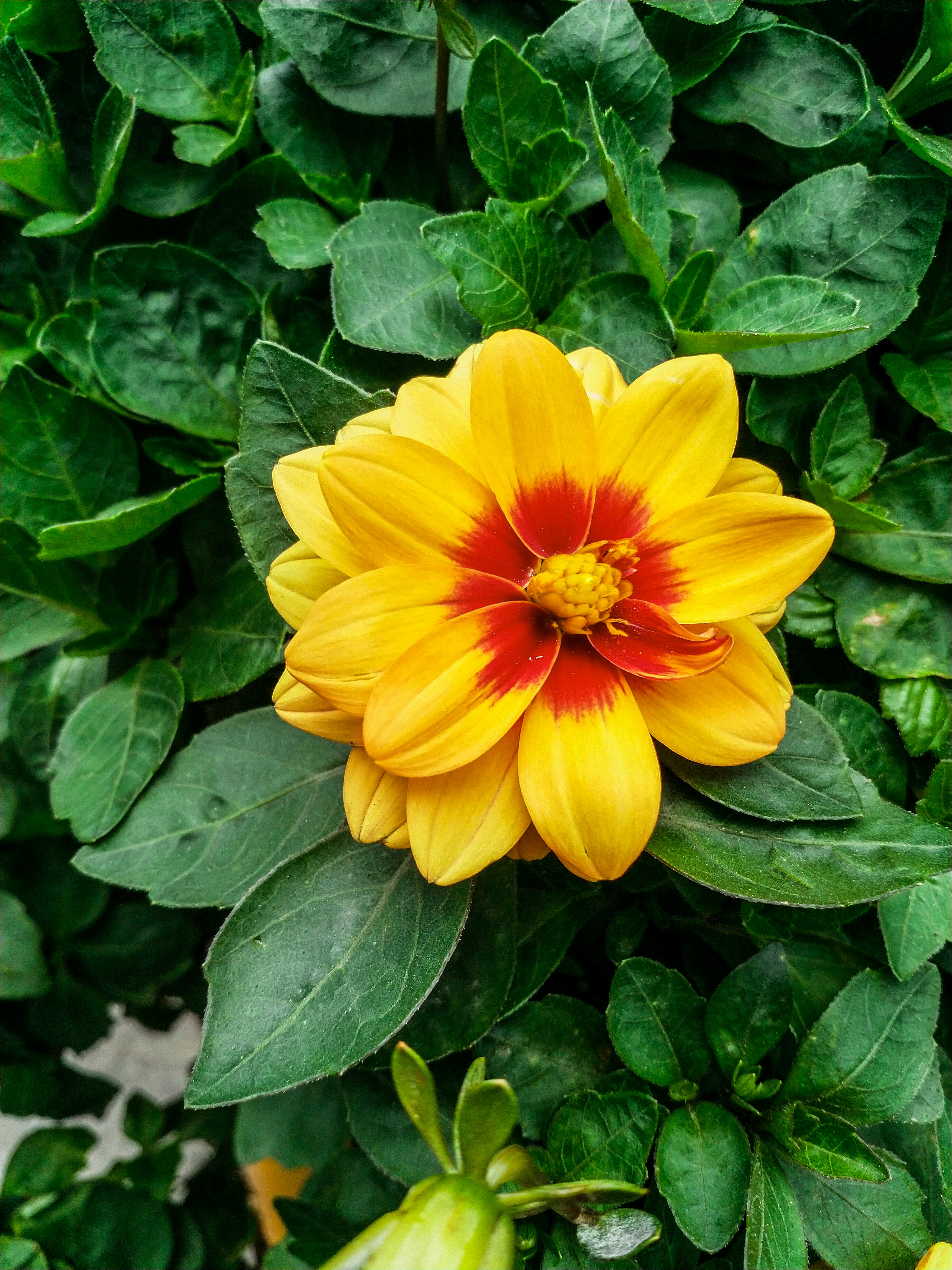 Photo by thanhliem178