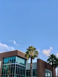 A modern building with large glass windows and a combination of brick and white paneling, set against a clear blue sky. Two palm trees are situated in front of the building, adding a touch of greenery and tropical feel to the scene.