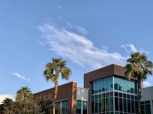 A modern commercial building framed by palm trees on a sunny Florida day.
