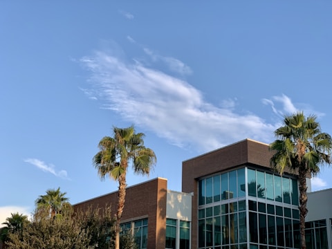 A modern building with large glass windows is framed by several palm trees under a clear blue sky with wispy clouds.