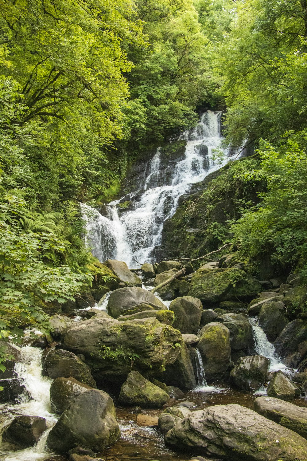 waterfalls between green trees at daytime