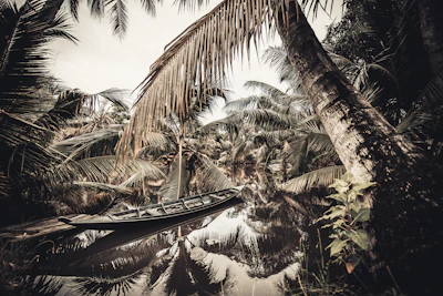 Boat gliding through calm waters surrounded by dense tropical forest