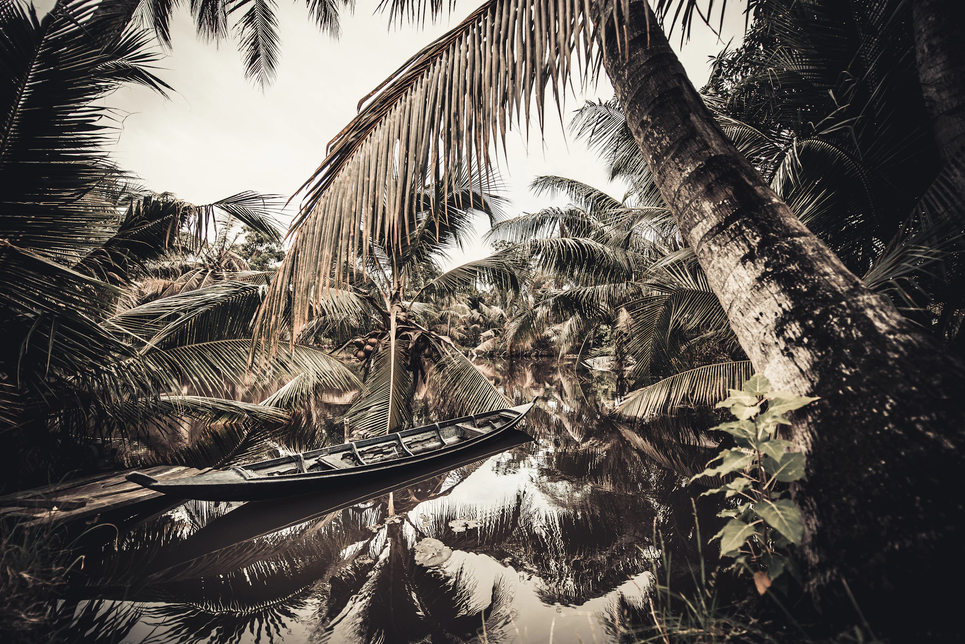 A traditional wooden boat taxi gliding through the narrow waterways surrounded by lush greenery and vibrant wildlife.