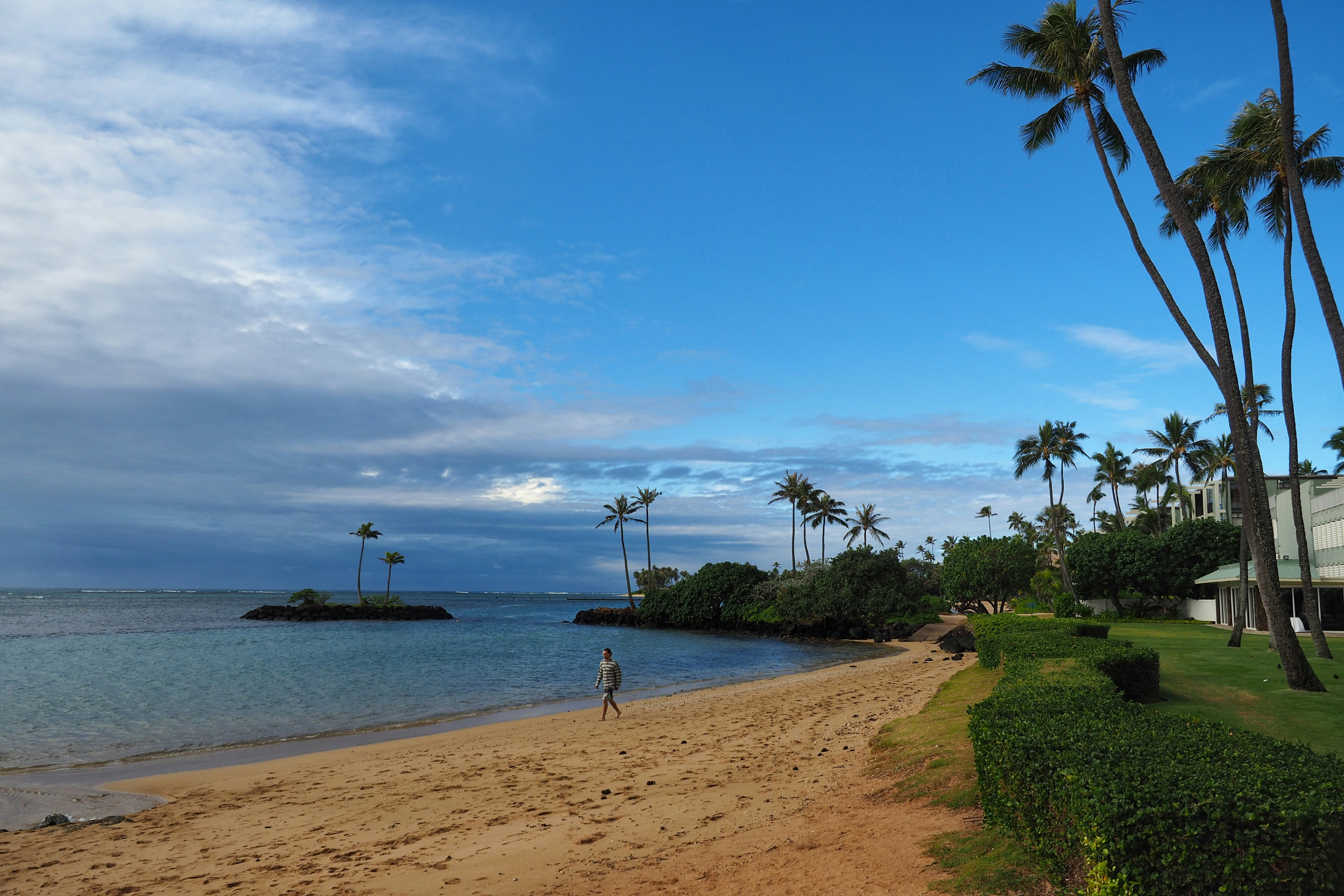 Maui Seasonal Activities