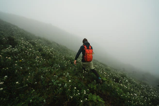 person walking on mountain slope