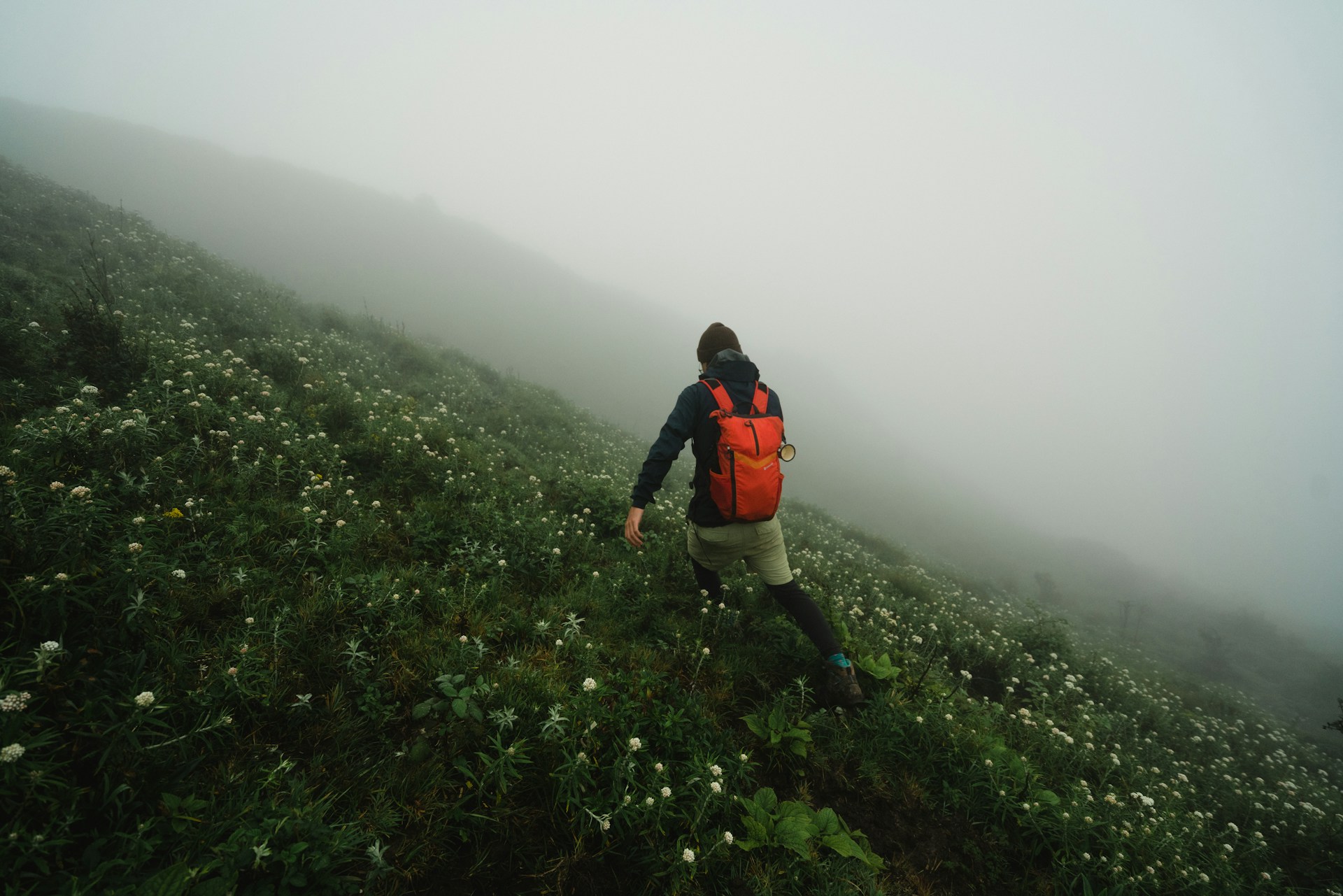 person walking on mountain slope