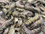 A large pile of raw prawns displaying their striped shells, antennae, and appendages. They are closely packed together, creating a textured and layered appearance.