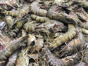 A large pile of raw prawns displaying their striped shells, antennae, and appendages. They are closely packed together, creating a textured and layered appearance.
