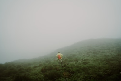 A person with a red backpack walks across a foggy and lush green landscape. The mist covers most of the background, creating an ethereal atmosphere. The scene suggests solitude and adventure.