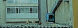 Four cats are sitting on a corrugated roof. The background consists of a building with large windows and a wall with an air conditioning unit attached.