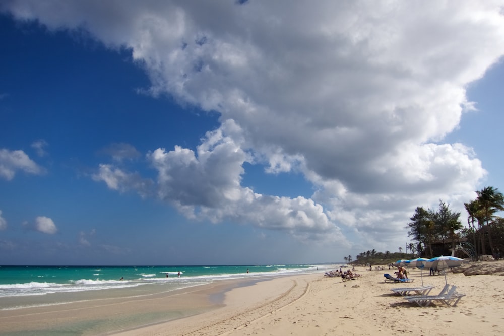 people sun bathing in sea shore