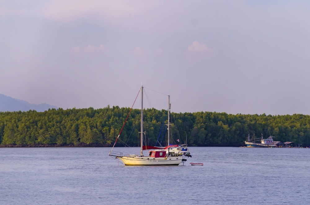 white and red boat on body of water