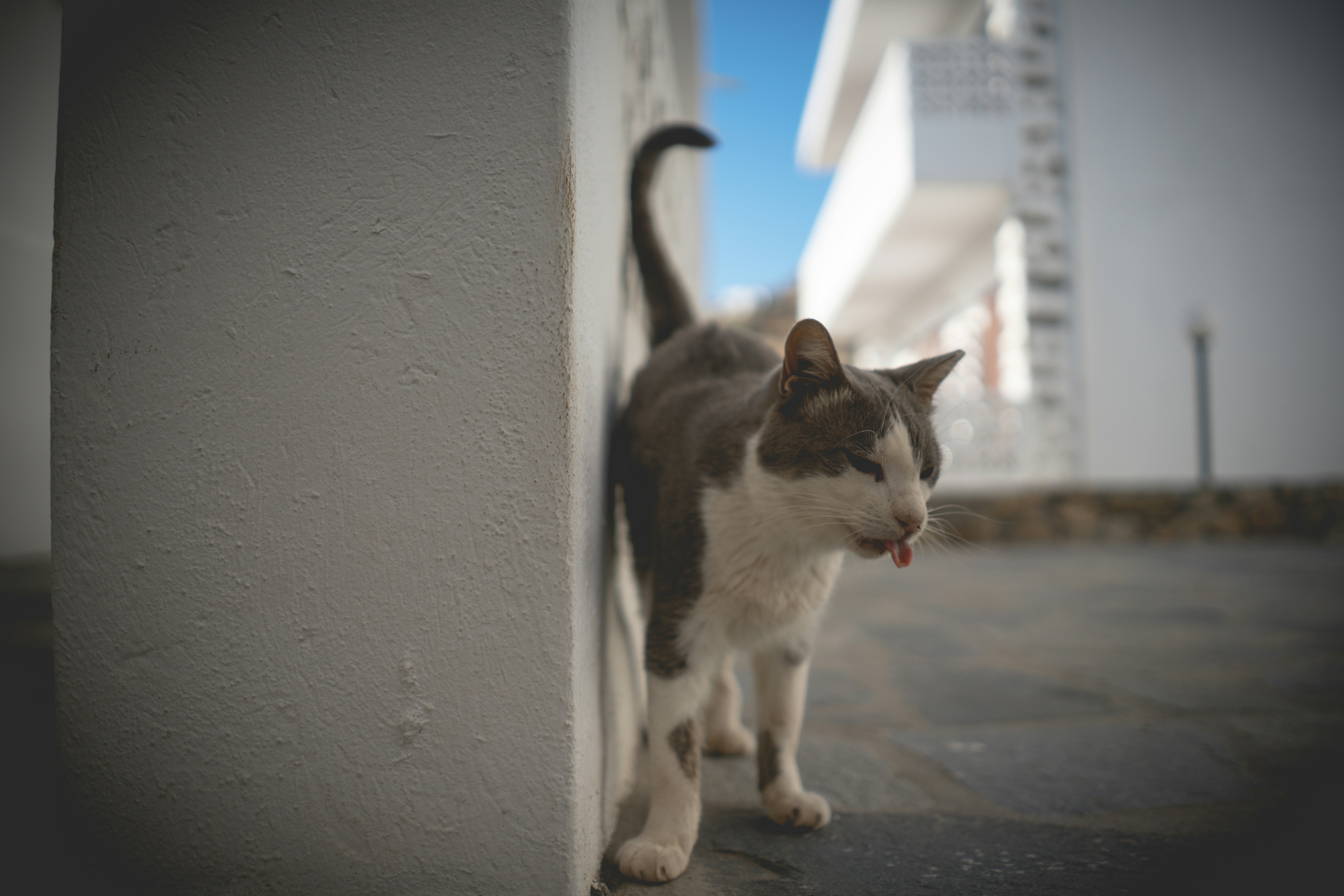 Photo by simontartarotti