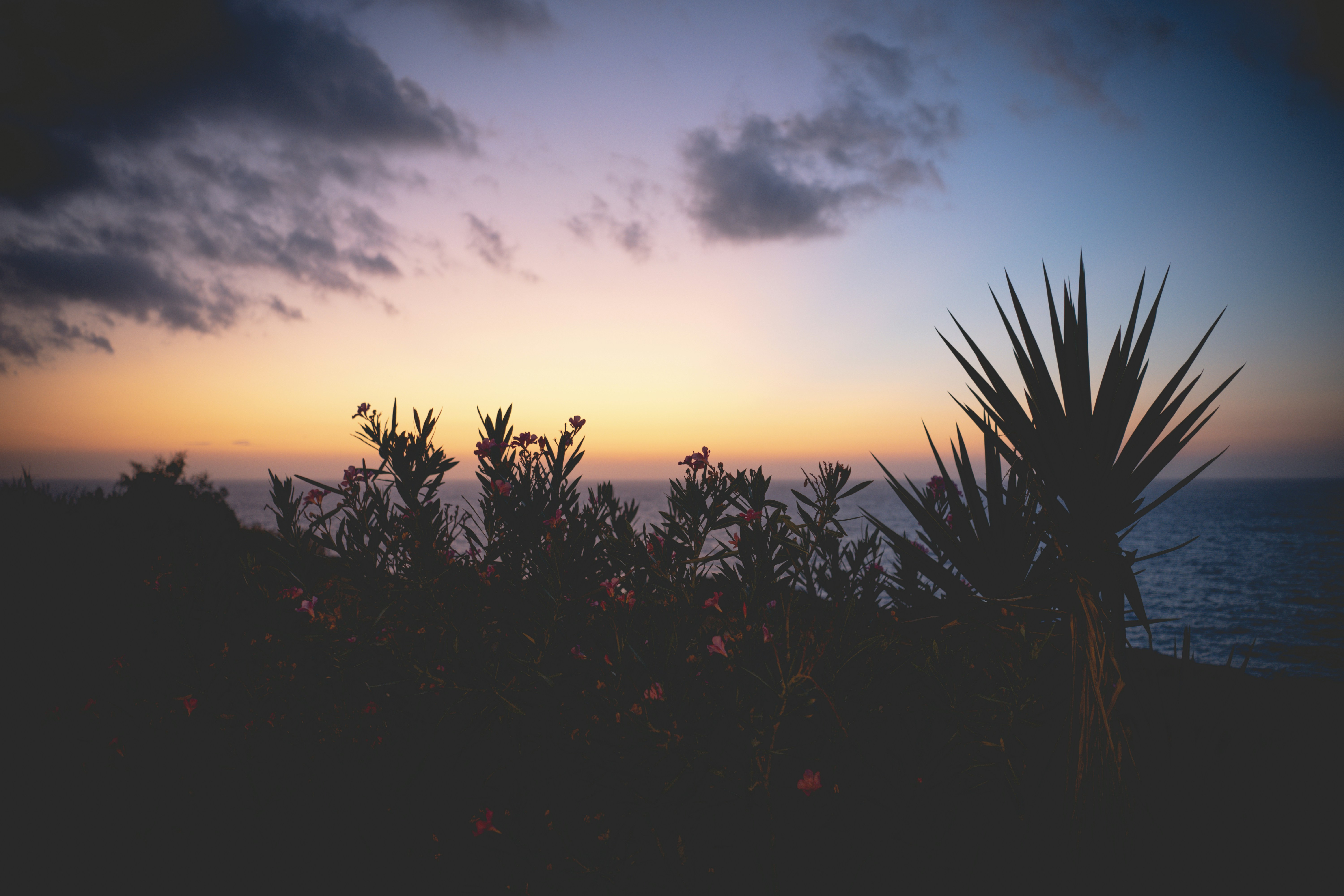 Photo by simontartarotti