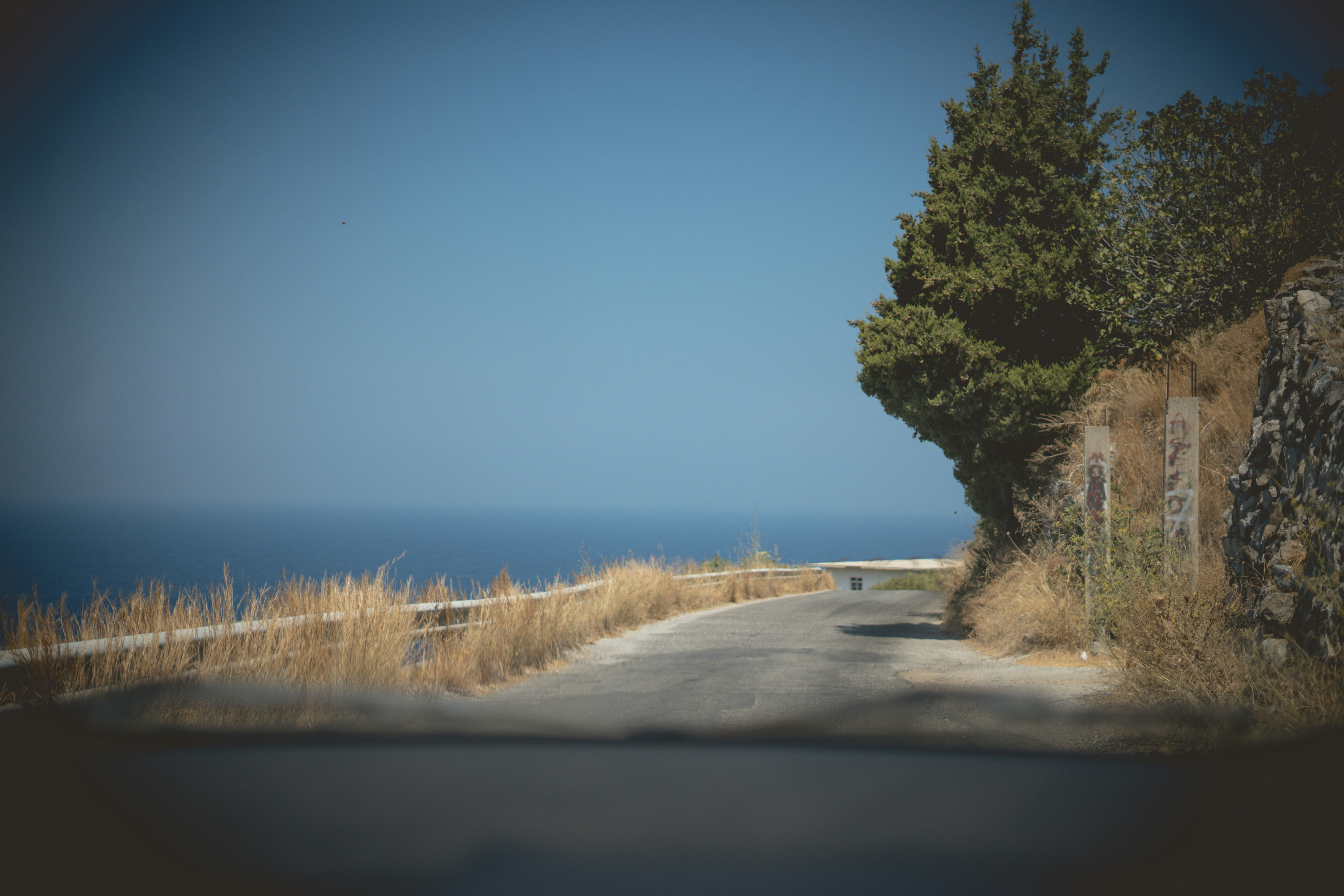 Photo by simontartarotti