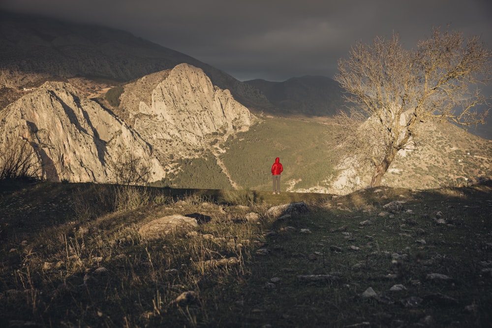 L’homme se tient entre les montagnes