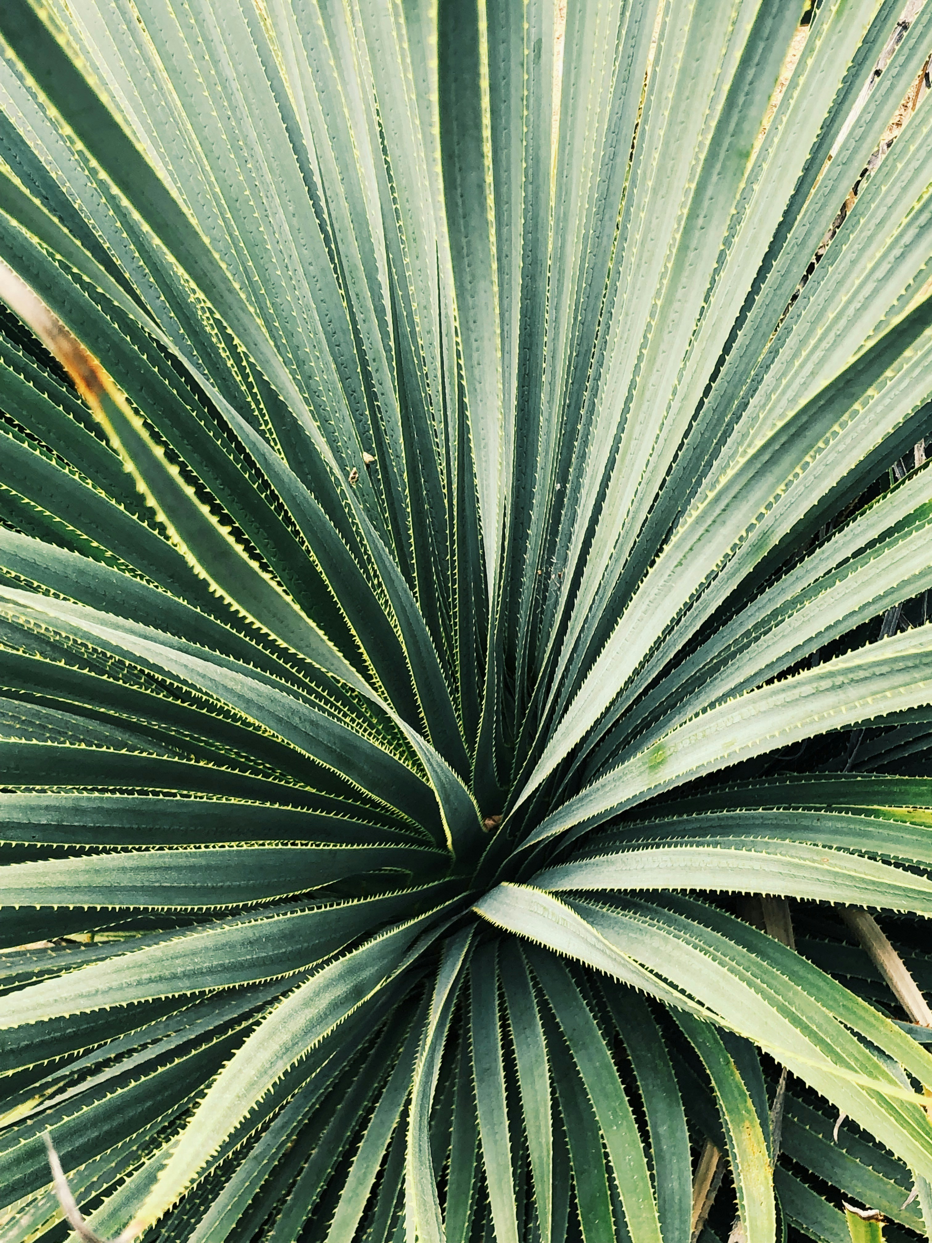 Photo by janerlinghagen