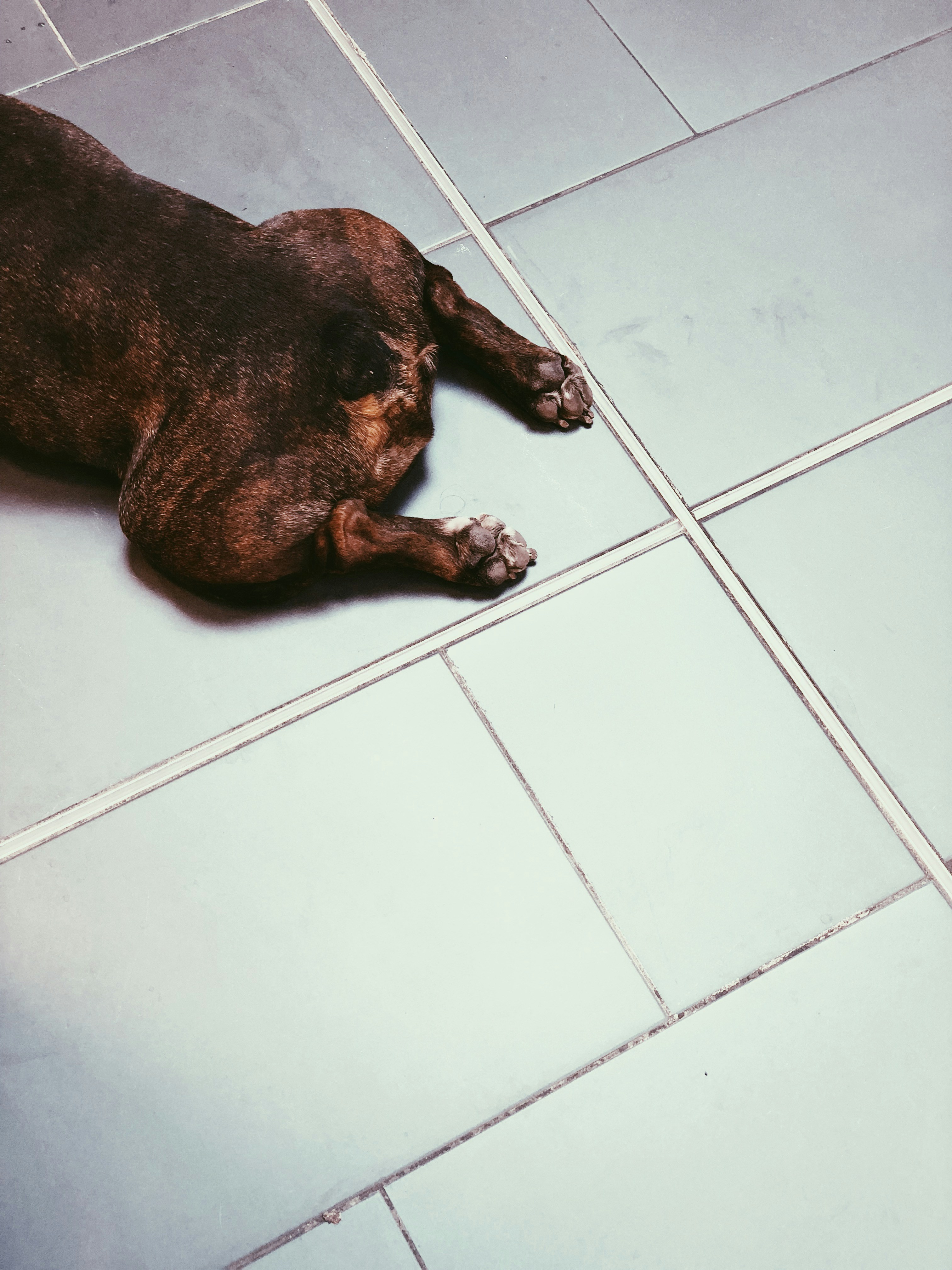 Photo by janerlinghagen