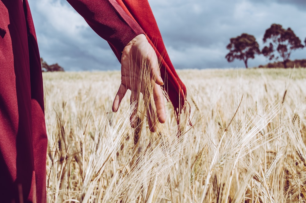 shallow focus photo of person's right hand