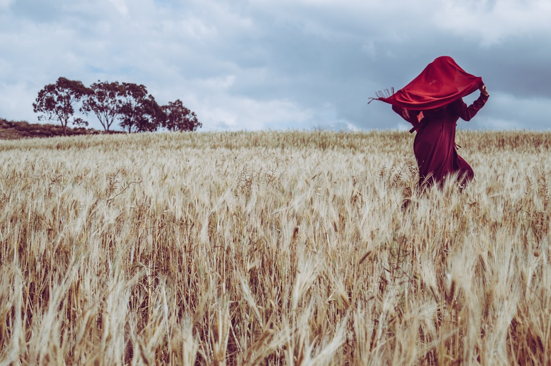 person in wheat field under cloudy sky