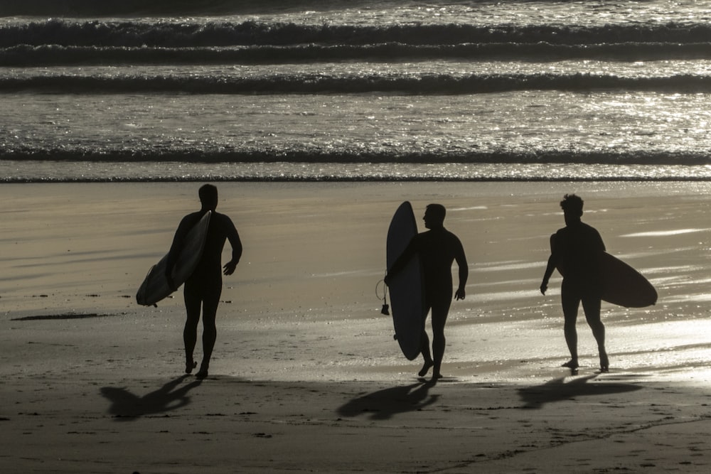 three person carrying surfboards