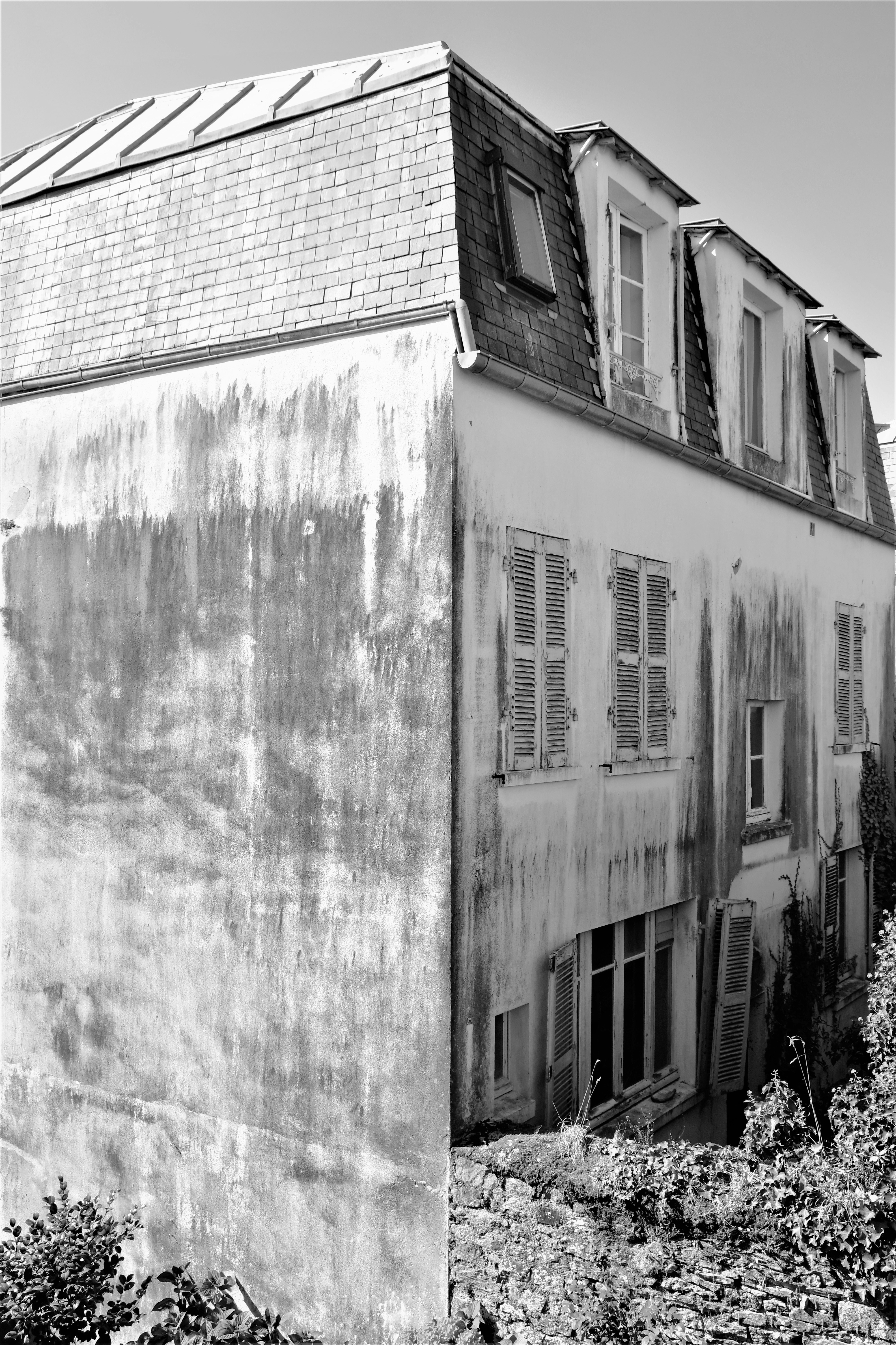 Photo by lieselottedb