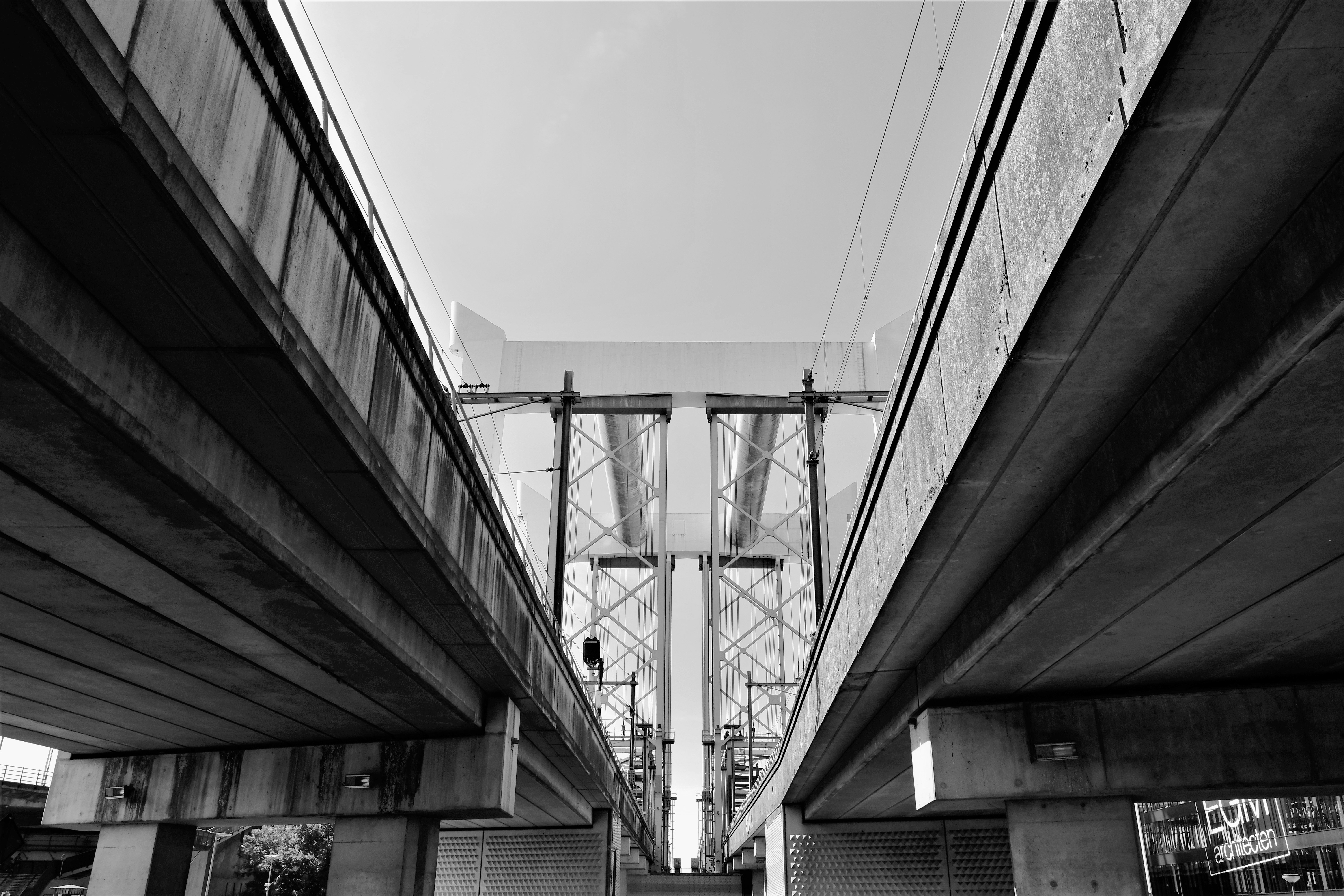 Photo by lieselottedb