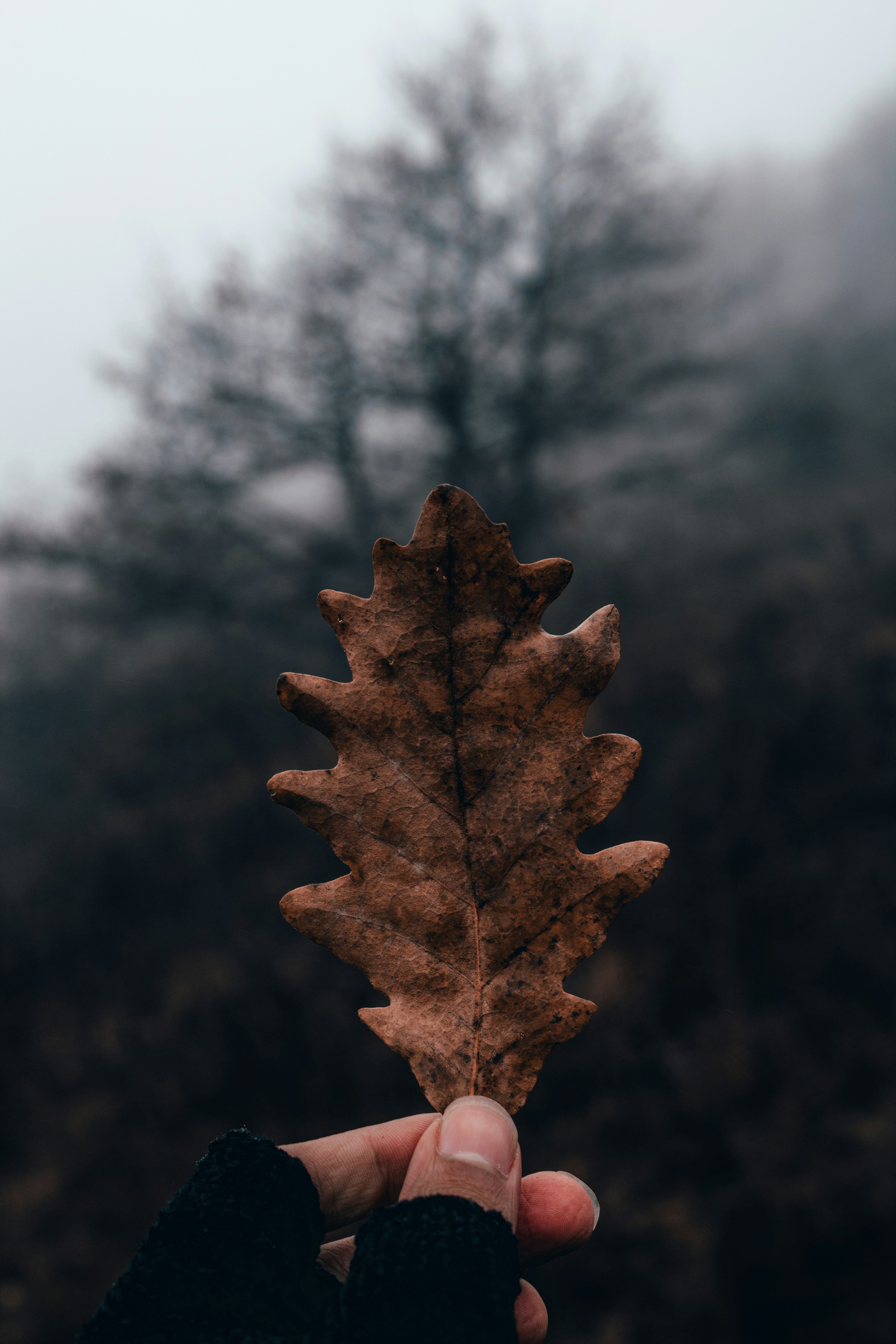 Photo by m_amirahmadi