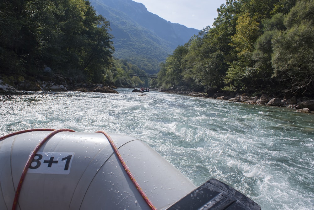 gray swim ring on river