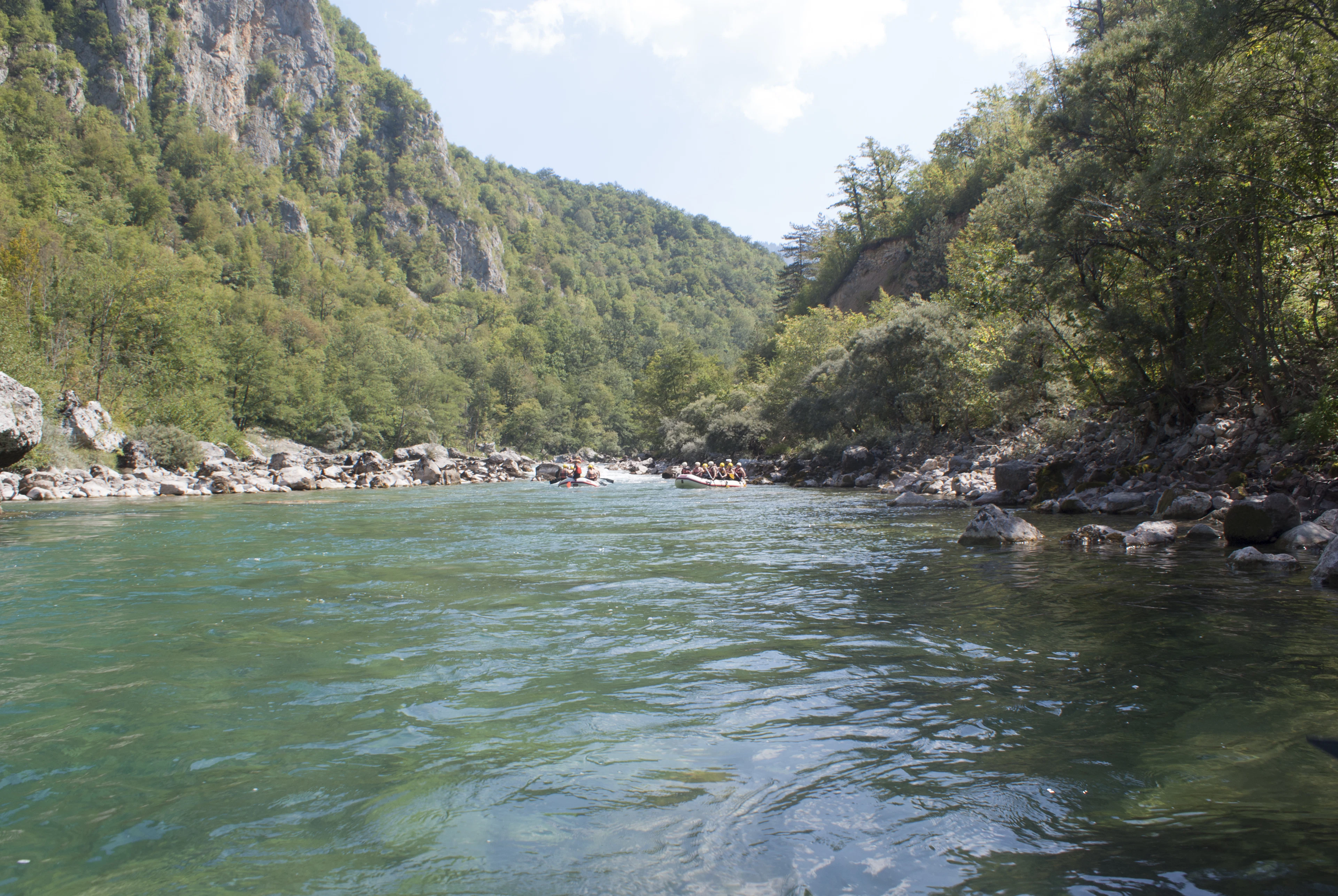 Rafts on the green water of the Tara river between wooded canyon slopes and rock walls in summer