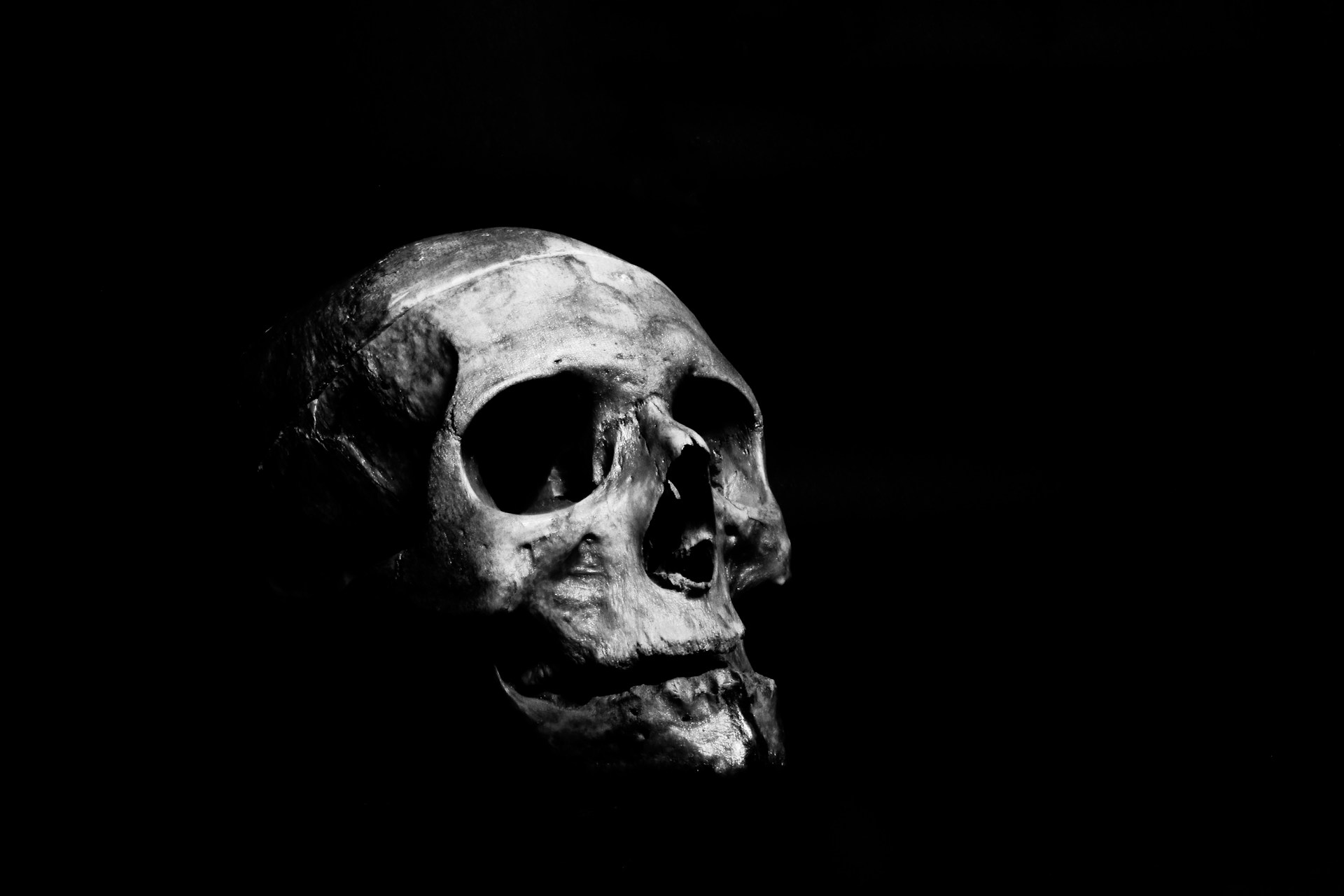 a black and white photo of a human skull