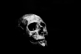 A skull is positioned against a stark black background, with lighting highlighting the texture and details of the bone structure. The shadows create a dramatic and intense contrast, emphasizing the hollows and curves of the skull.