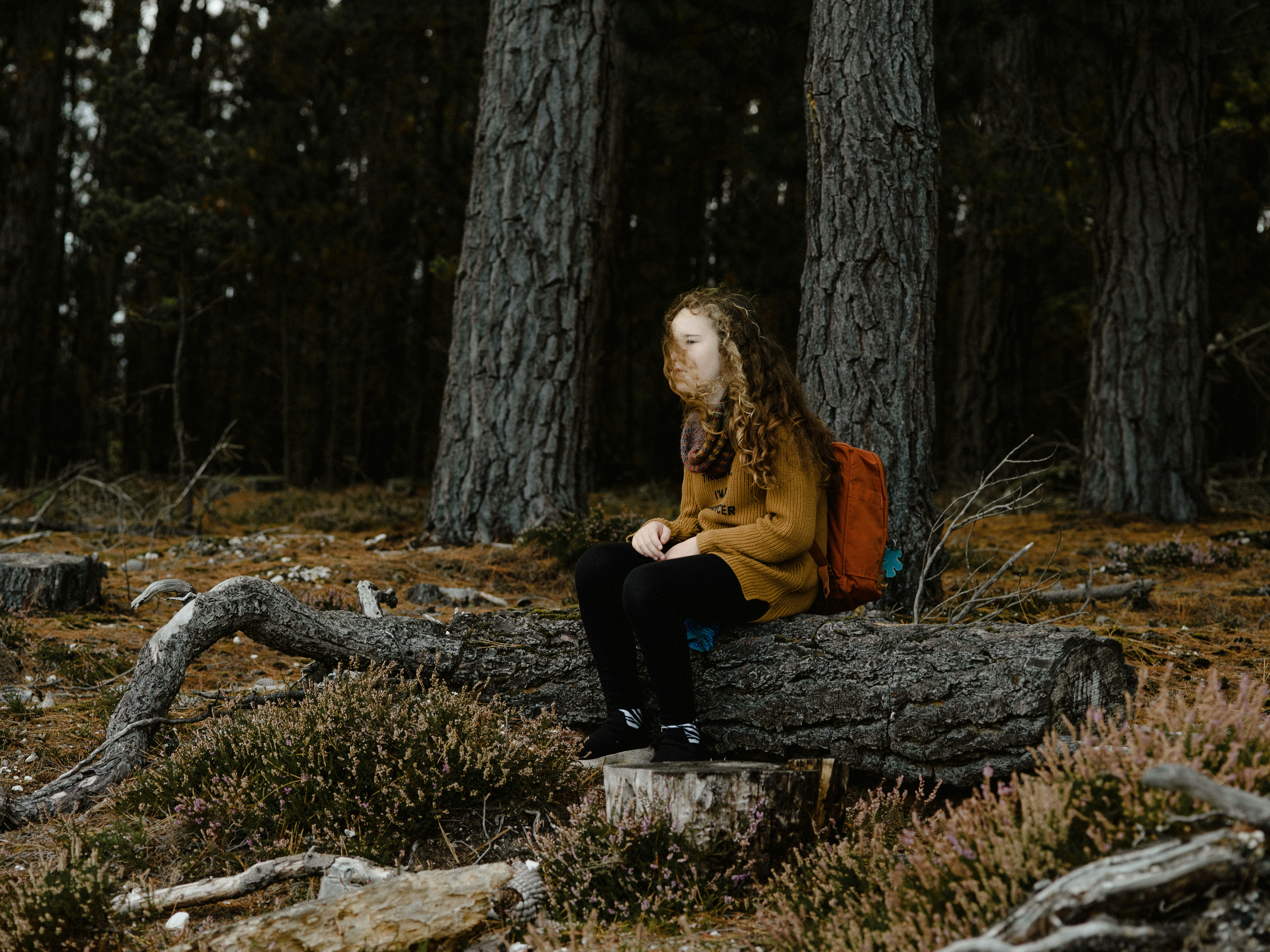 Photo by anniespratt