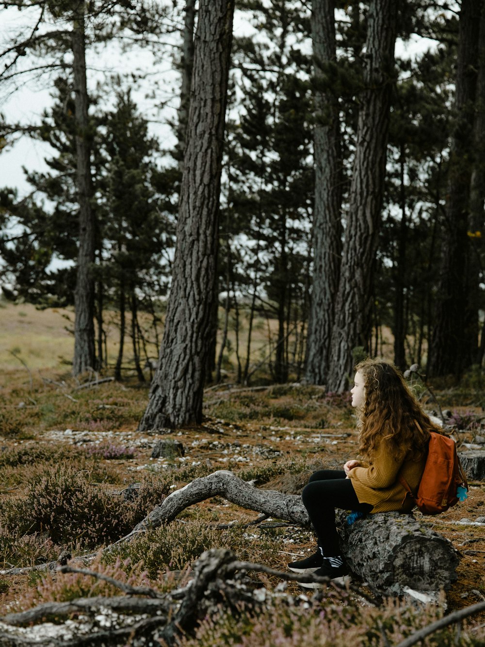 girl sits on log at the forest