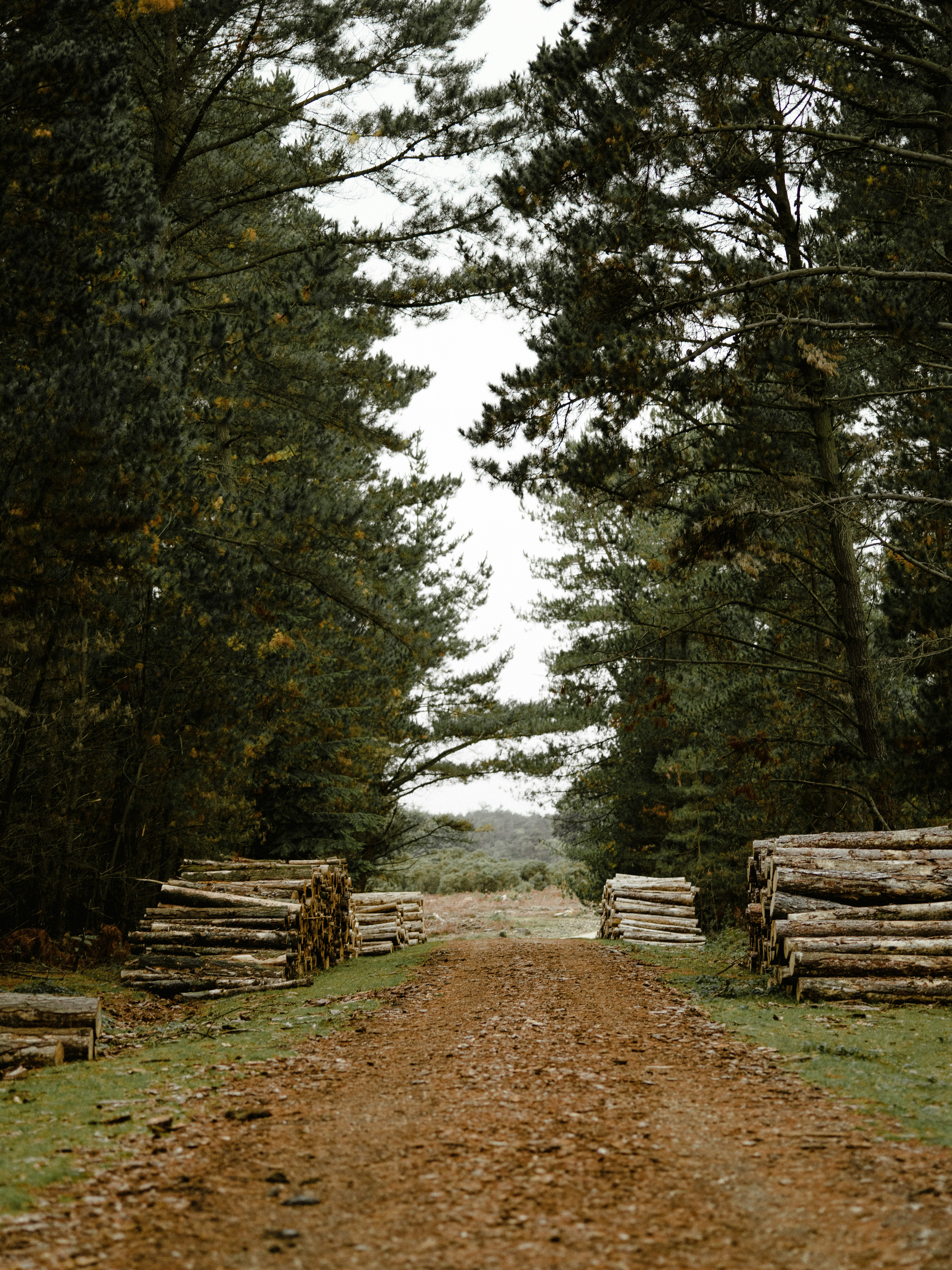 Photo by anniespratt