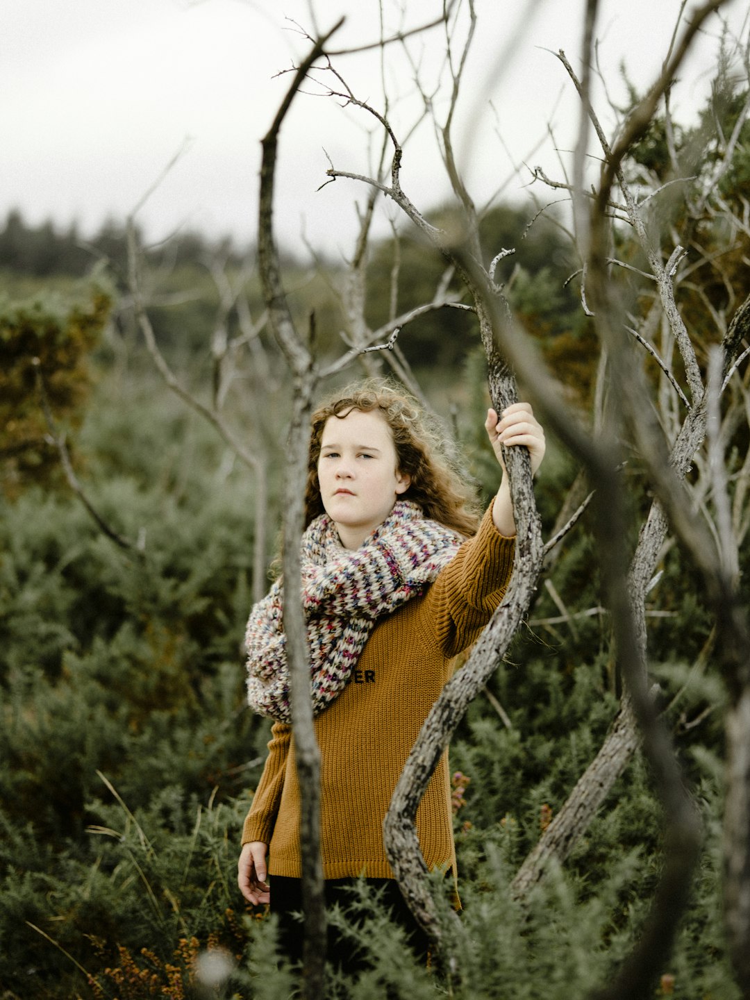 girl wearing brown knitted sweater holding on tree branch