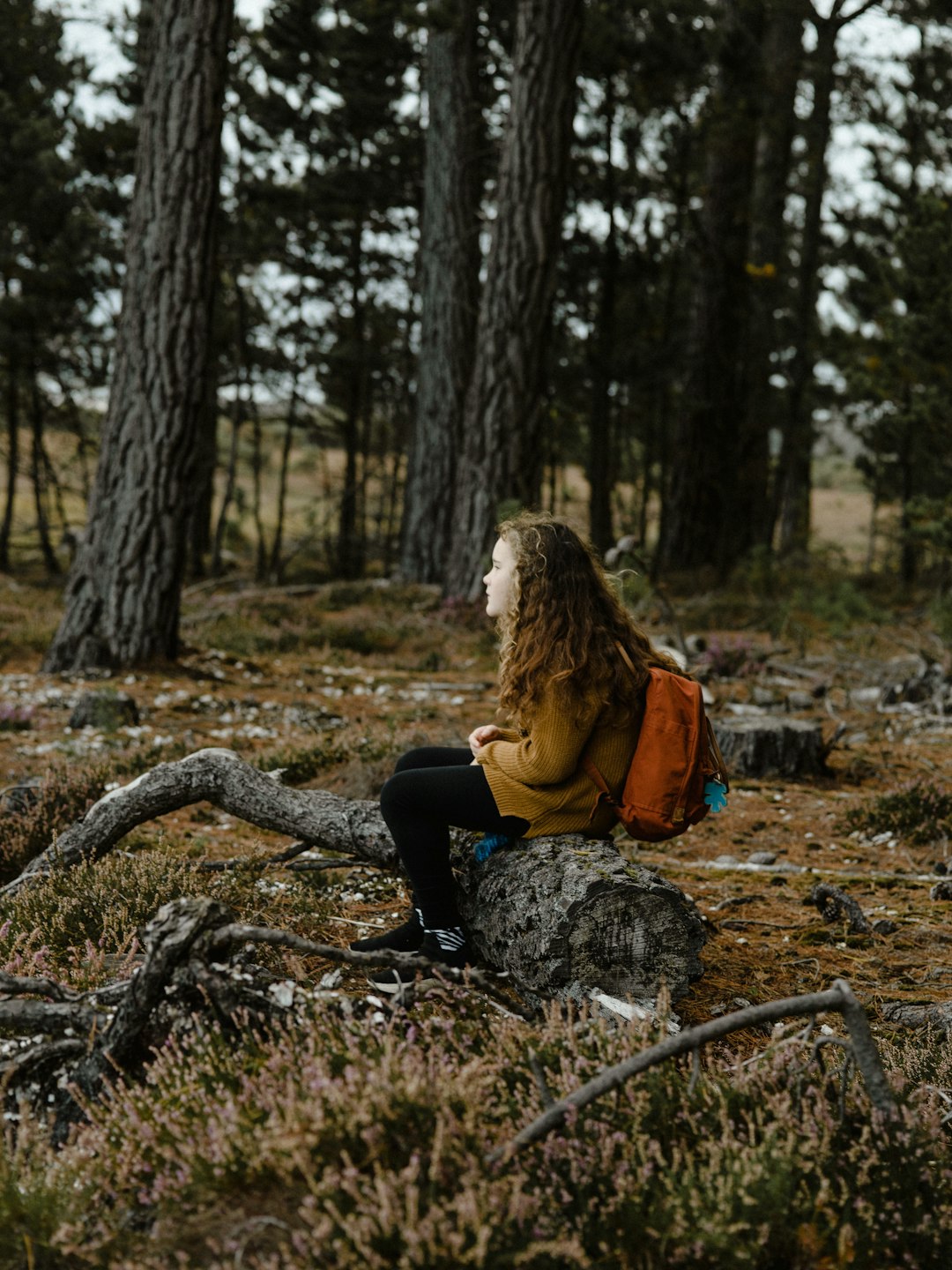 girl sitting on drift wood